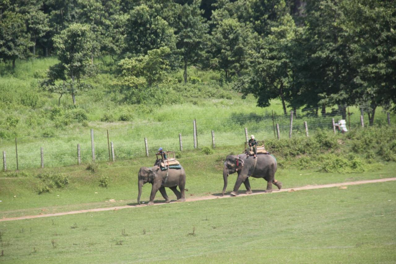 Hotel Landmark Forest Park Sauraha Exterior foto